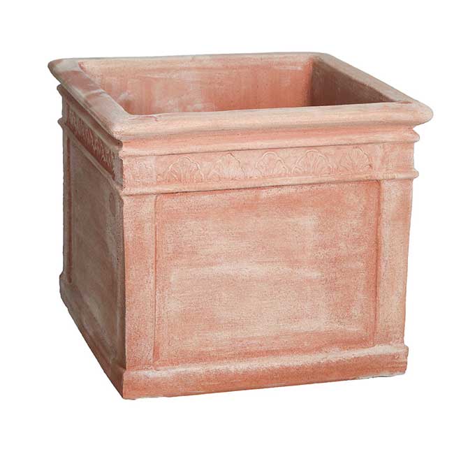 cubo foglie